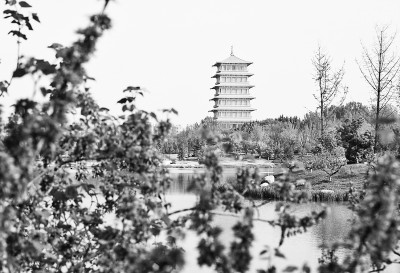 “公园城市”