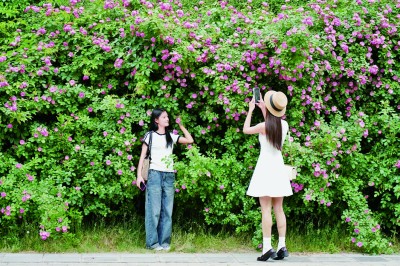 看！“花旅+”这样引领文旅新风尚