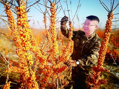 這就是青春最颯的英姿——“青馬工程”學員與他們所鐘愛的事業