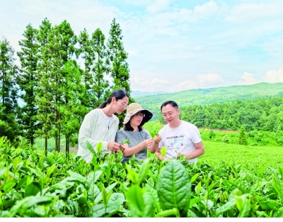 這就是青春最颯的英姿——“青馬工程”學員與他們所鐘愛的事業