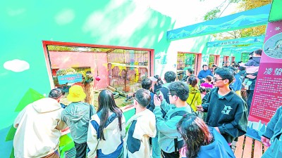 青山作谱 绿韵如歌——青海西宁大力推动生态保护和文旅融合发展
