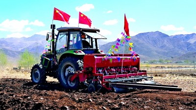 西藏拉萨林周县松盘乡松盘村：牦牛养殖 助村民增收