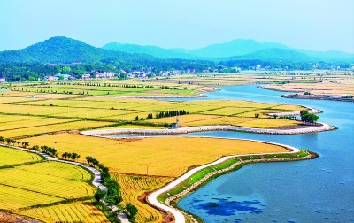 【大美中国】田园画卷