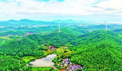 初夏村景