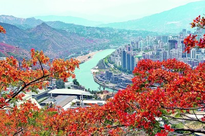 【大美中国】山花映江城