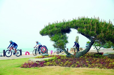 山东日照：碧海金沙织画卷