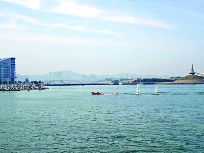 山东日照：碧海金沙织画卷
