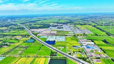 【走进昔日的抗日战场】刘老庄：硝烟散去的土地上 油菜花开得正艳