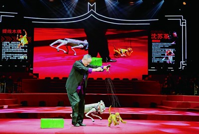 听，这座城市的古韵新声——福建泉州活态传承地方戏曲