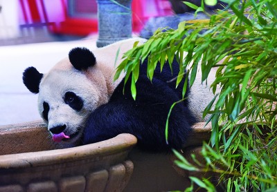 图片报道