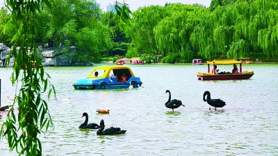 一脉源流 心有所归——河北邢台优化文旅供给推动生态优势转化为发展优势