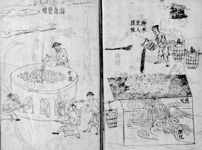 一粟一黍间见万年生存智慧——读《中国食物：粮食史话》
