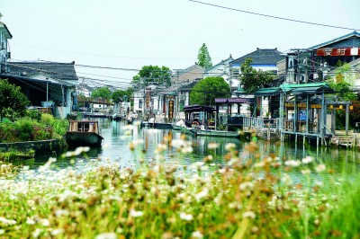 江苏苏州：阳澄湖畔风景新