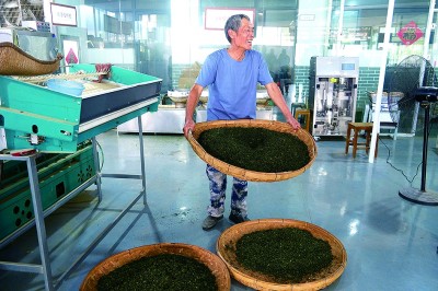 山东日照丁家楼子村：九仙山下的仙境
