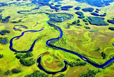 黑龙江湿地：黑土地上的生命乐园