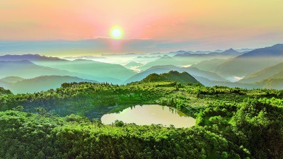 钱江源—百山祖国家公园候选区：“这是一个动植物乐园”
