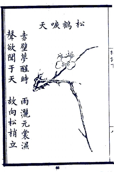 光明文化周末：朵朵花开淡墨痕