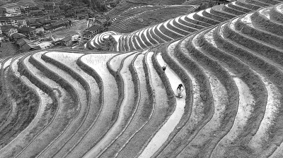 图片报道