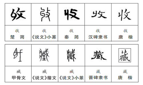 收藏