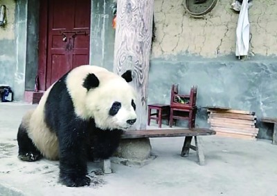 俄美领导人会晤为何选在阿拉斯加