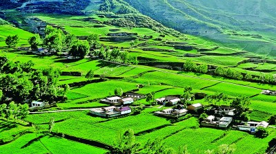 【大美中国】生机盎然