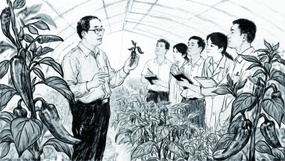 湖南农业大学蔬菜种质创新与遗传改良团队：让一粒粒好种子在广袤田野生根发芽