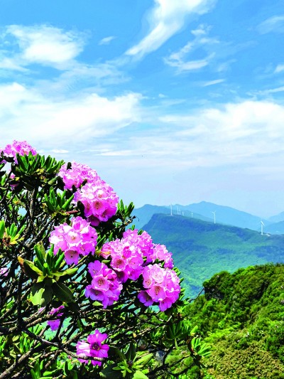 日企又被曝在测试中存在“不当行为” 这次是潜艇发动机