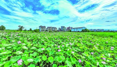 【大美中国】图片报道