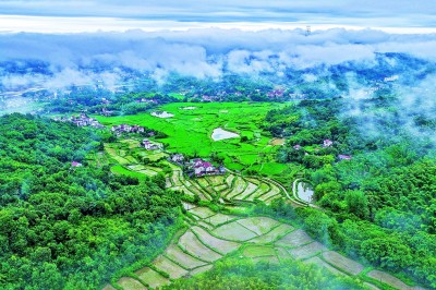 【大美中国】如画