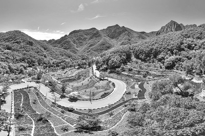 图片报道