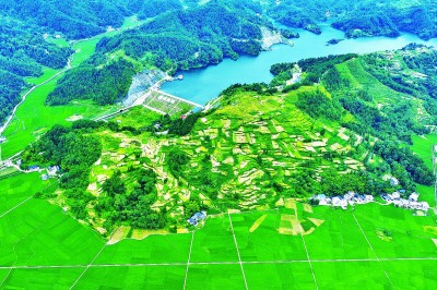【大美中国】夏日田野