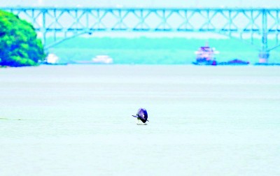山水相依，合力“挑大梁”