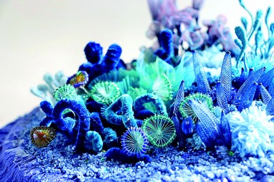 妙手匠心，织就纤维奇境——基于生物微观结构的纤维艺术创作