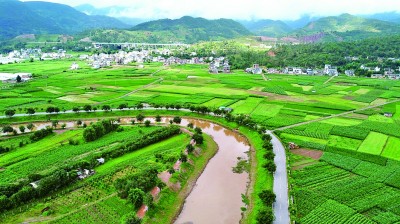 【大美中国】夏日乡野