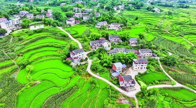 建设美丽乡村