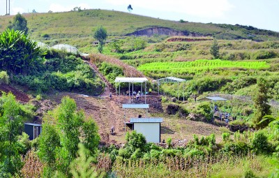 云南发现30万年前的木器