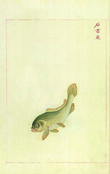 《鲞经》：打捞失落的美食传奇
