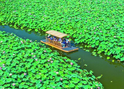 暑期旅游升温