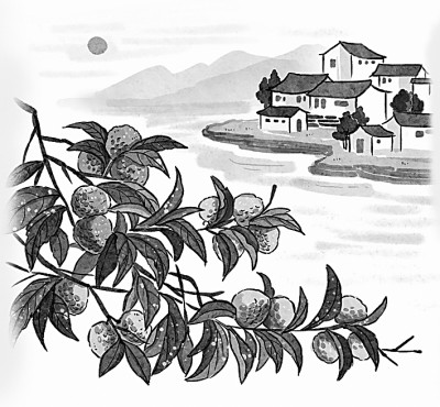 漳浦诗话
