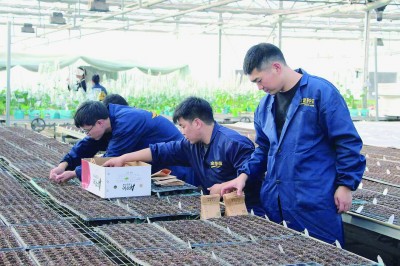 让中原粮仓更充盈更稳固