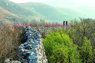 山东济南鲁地村：齐长城畔 山乡蝶变