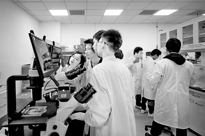 新型研究型大学：提升创新效能的新生力量