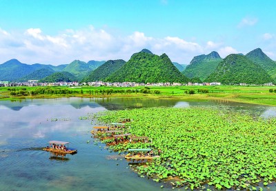 【大美中国】赏荷