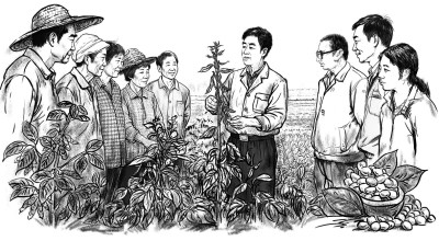 四川农业大学大豆玉米带状复合种植研究团队：以身传技，促“粮稳豆增”