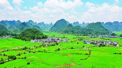 【大美中国】翠峰沃野