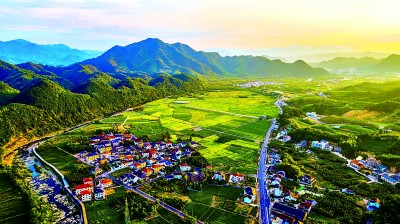 浙江省杭州市临安区於潜镇光明村：撂荒地转出共富田