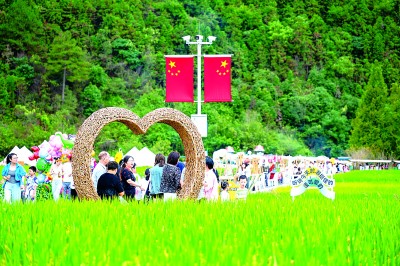 浙江省杭州市临安区於潜镇光明村：撂荒地转出共富田