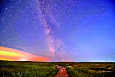 多场流星雨点亮夏日夜空