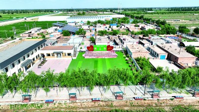 宁夏石嘴山市惠农区庙台乡东永固村：贺兰山下枸杞产业红