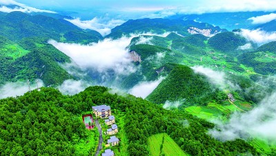 重庆市涪陵区武陵山镇乐道村：武陵山上避暑经济热